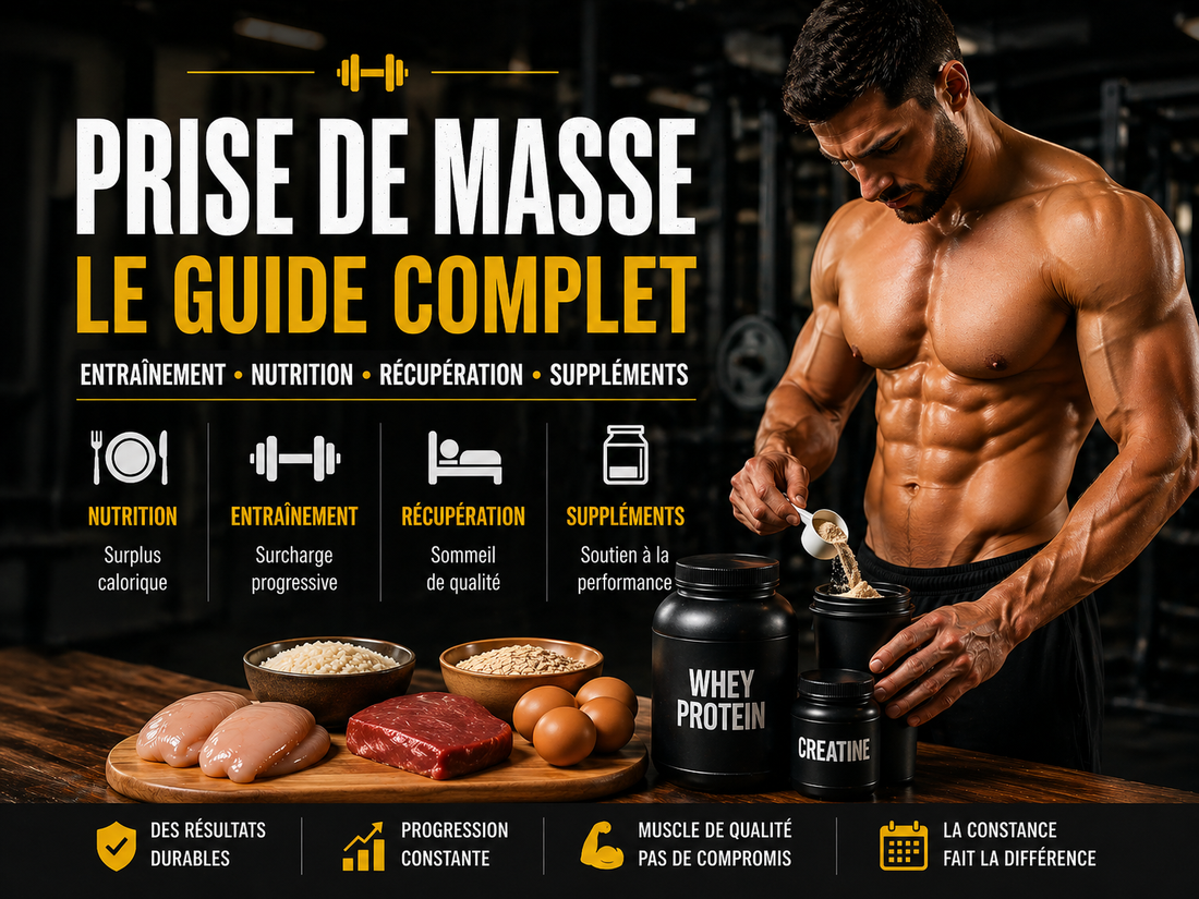 Guide complet de la prise de masse : comment construire du muscle intelligemment