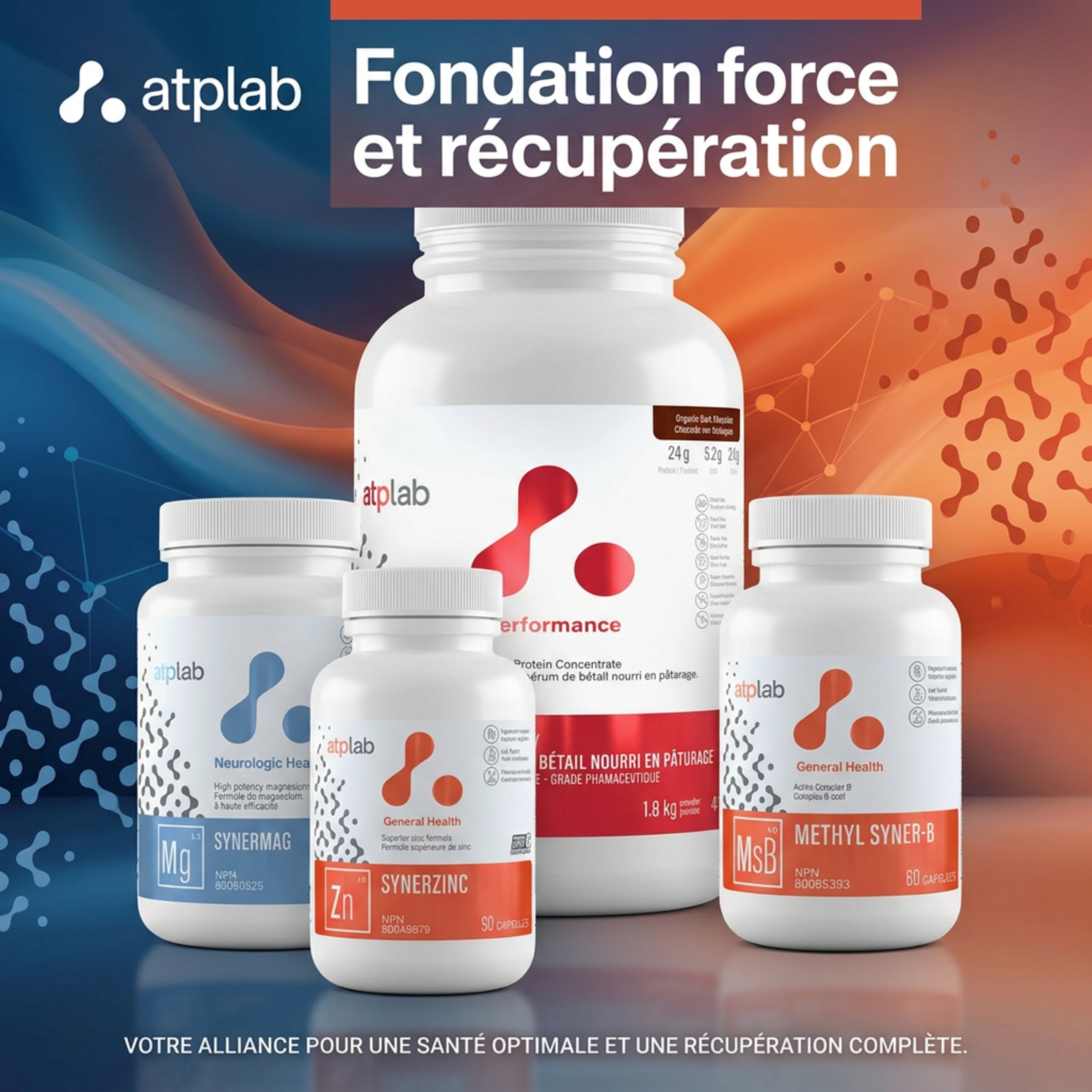 ATP Bundle Fondations Force & Récupération - Whey, SynerMag, SynerZinc et SynerB - SynerFit Nutrition