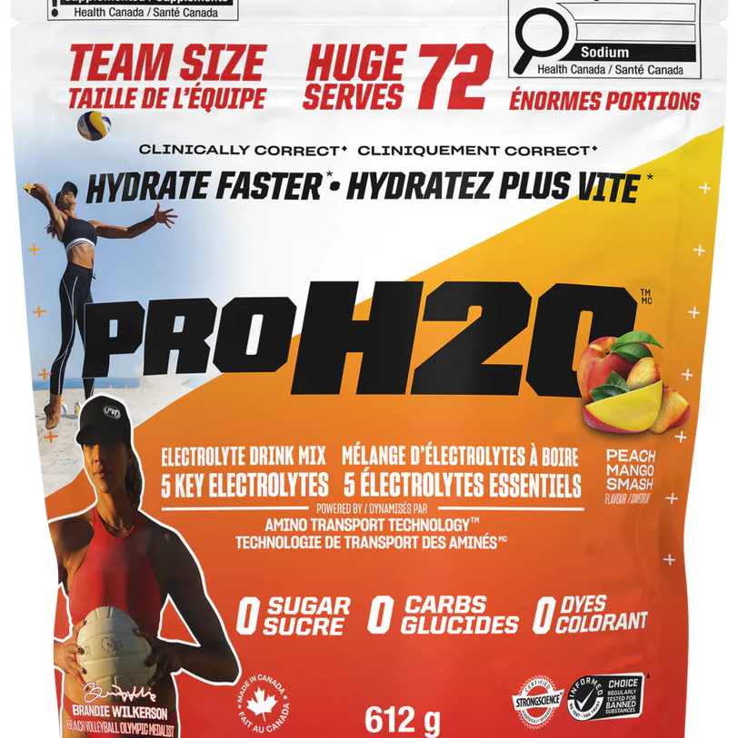 PVL Pro H2O Électrolytes 612g Peach Mango Smash - Hydratation et performance - SynerFit Nutrition
