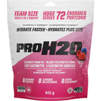 PVL Pro H2O Électrolytes 612g Berry - Hydratation et performance - SynerFit Nutrition